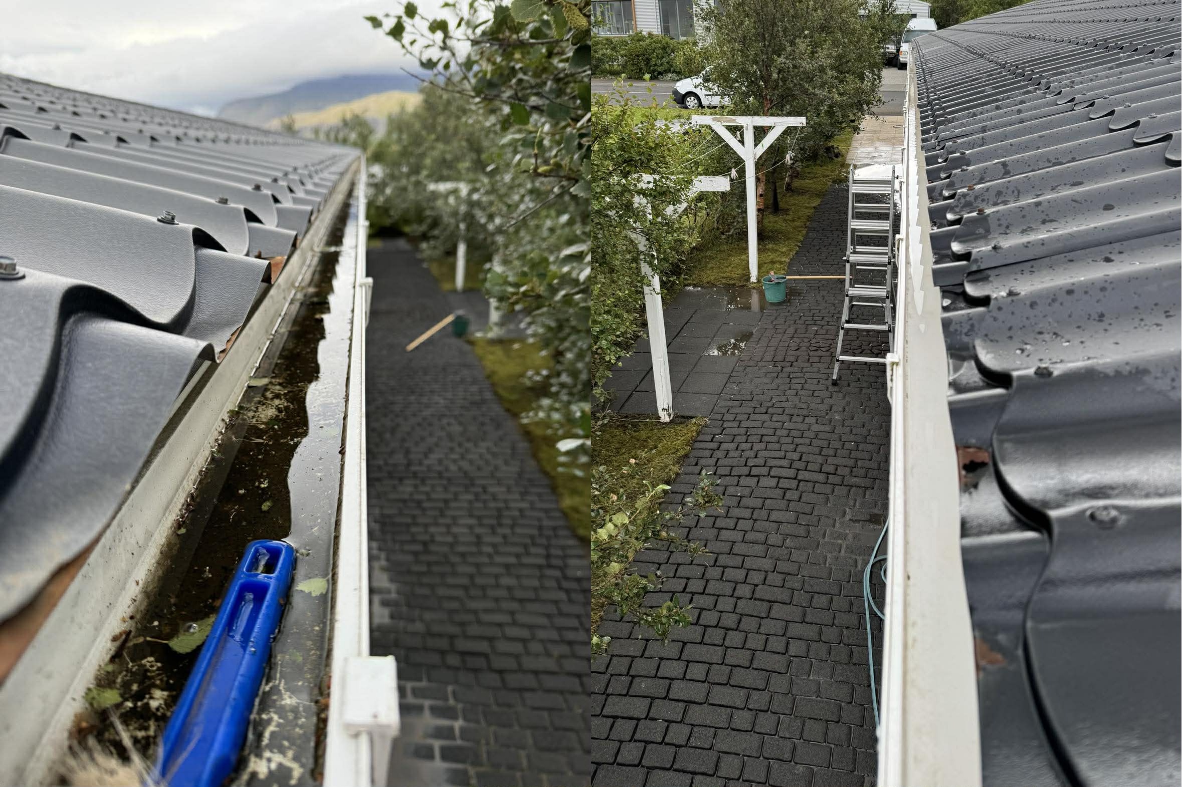 Þakrennuhreinsun